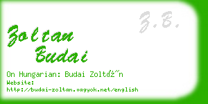 zoltan budai business card